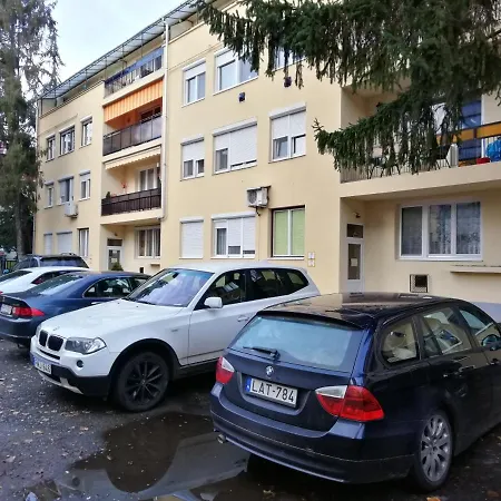 Tulip Family Eger