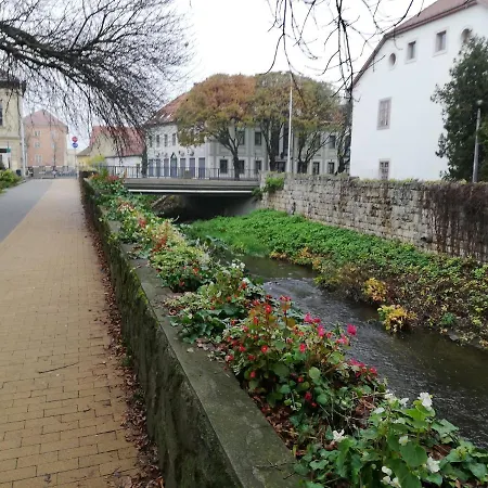 Tulip Family Apartman