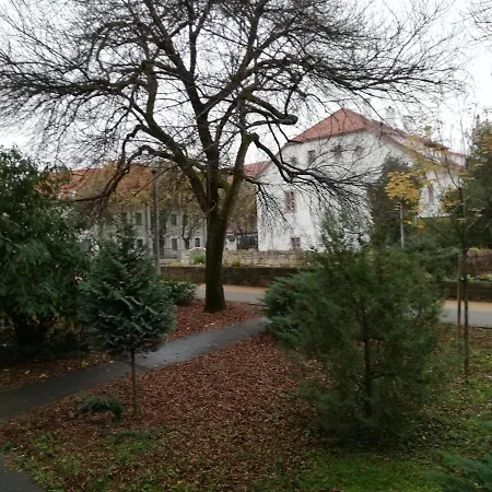 Tulip Family * エゲル