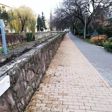 アパート Tulip Family