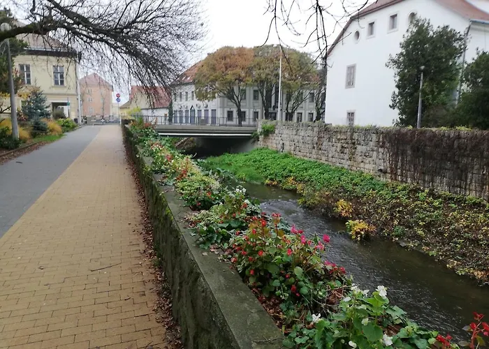 Tulip Family Apartament